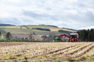 PGP Farm