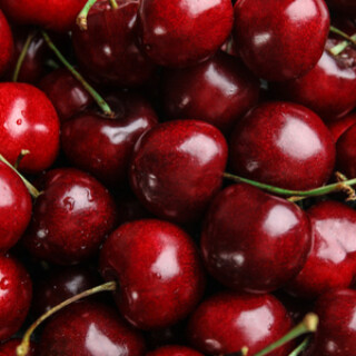 Shutterstock 1446801908 1