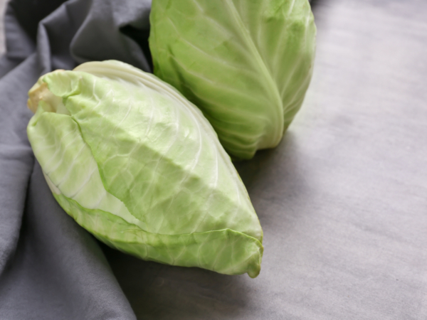 Shutterstock 1212783457