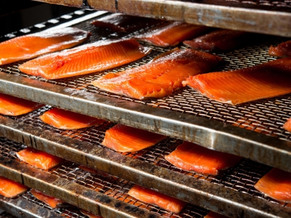 Shutterstock 1254058138