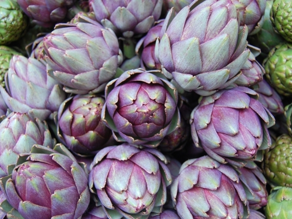 Shutterstock 1545090501