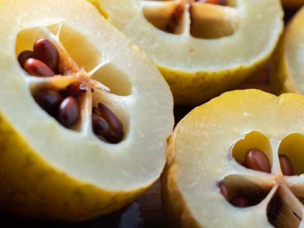 Shutterstock 2190389205