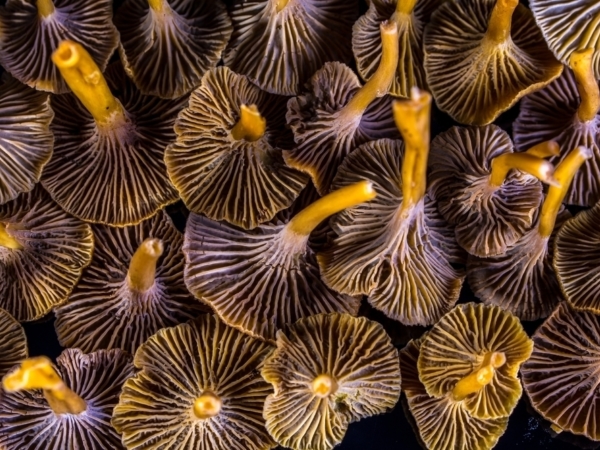 Shutterstock 222560767 2023 02 13 230505 jfwd 1