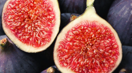 Screenshot 2026 03 12 090049