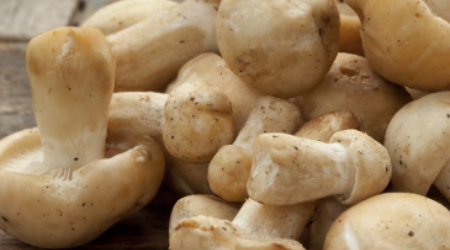 Screenshot 2026 03 12 090201