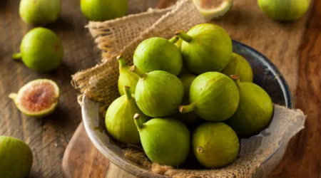 Figgreen