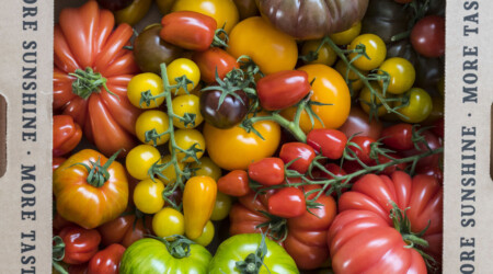 Img74793 whqc 1426x713q80