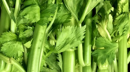 Leafycelery1