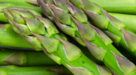 Shutterstock 103527248