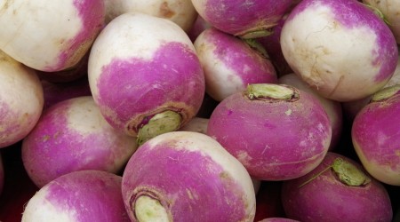 Shutterstock 1653632254