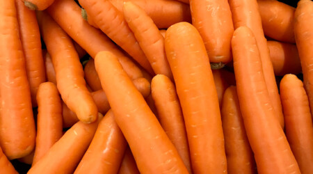 Shutterstock 1724941255