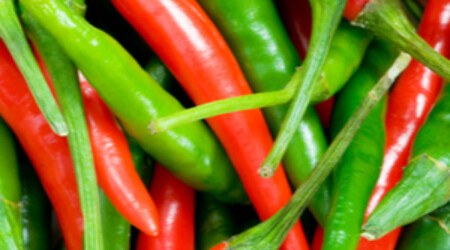 Shutterstock 24616171