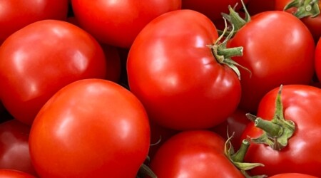 Shutterstock 2496115401