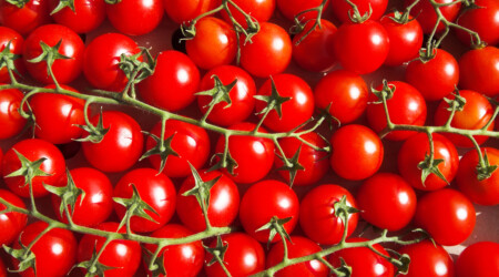 Shutterstock 77907988